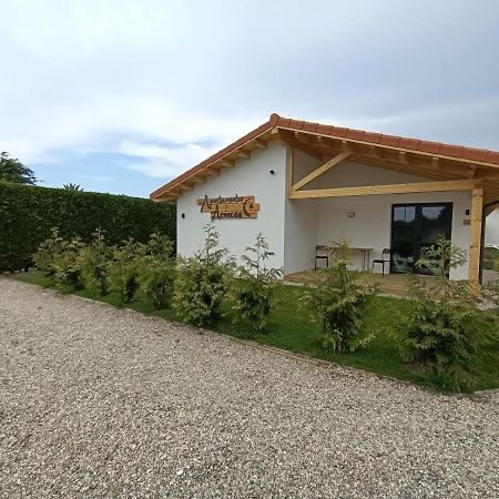 Apartamentos Aronces Cudillero Εξωτερικό φωτογραφία